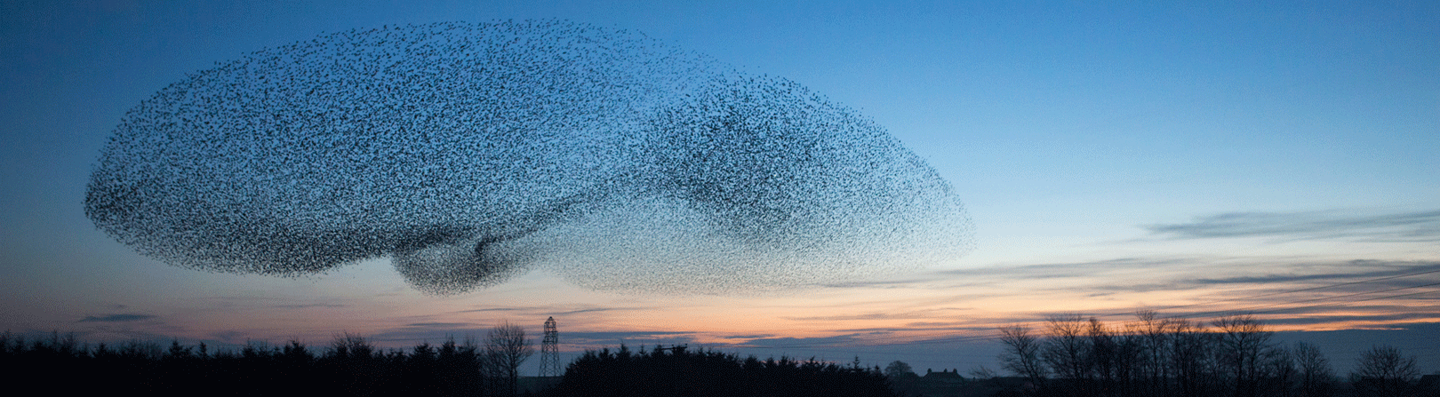 Ecosystem Intent Toolkit